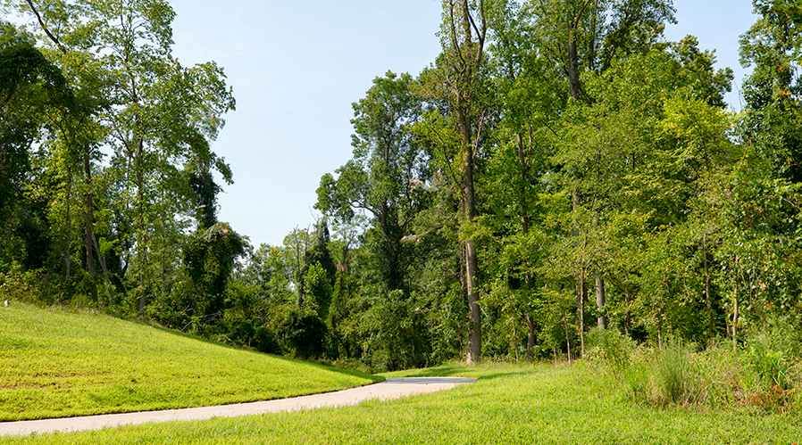 Park walking trails