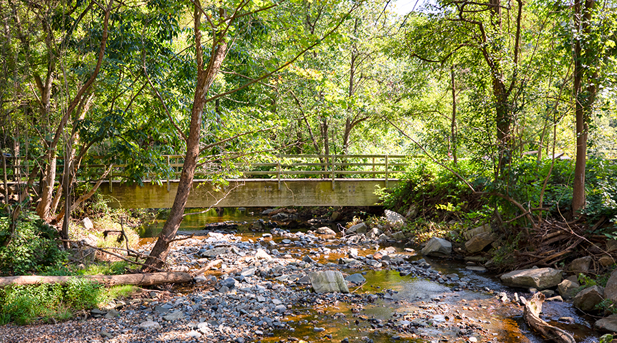 Park walking trails