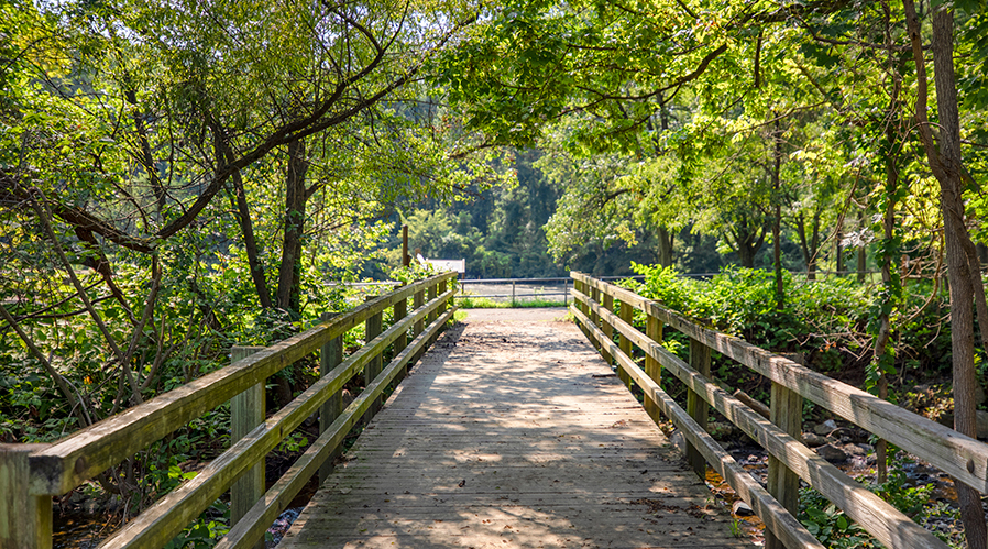 Park walking trails